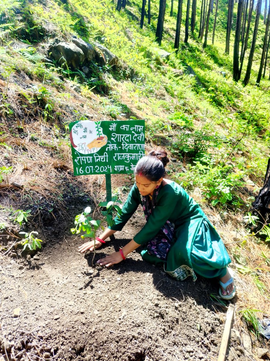 NrlmDunda's tweet photo. "Ek Ped Ma K Naam" On the occasion of #Harela2024
Dunda Block plantation done by #SHGs members &amp; Block team
@Harela2024
@CdoUttarkashi 
@DmUttarkashi https://t.co/5HSWO0R6dI