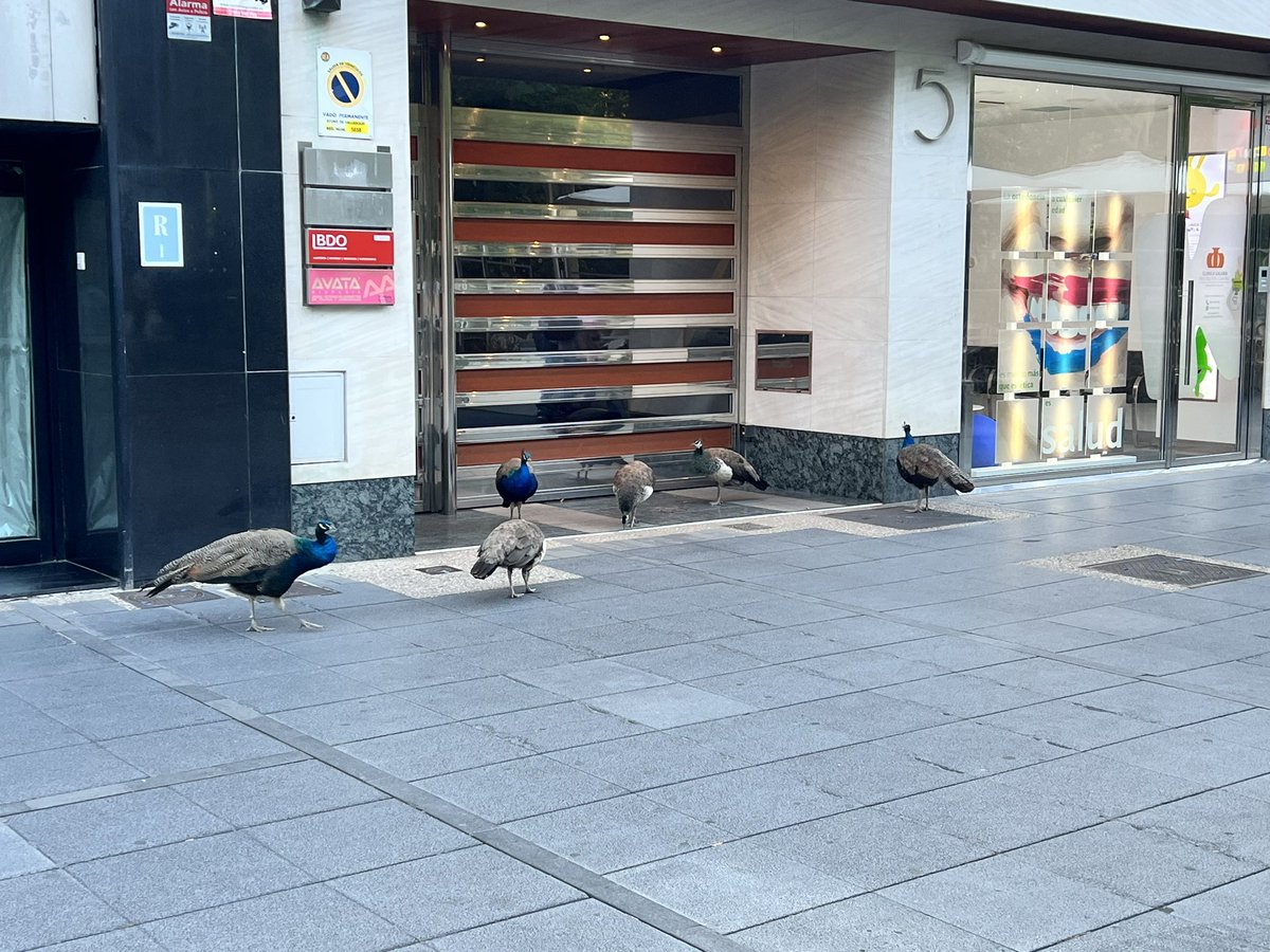 Paseantes por la acera de recoletos en Valladolid