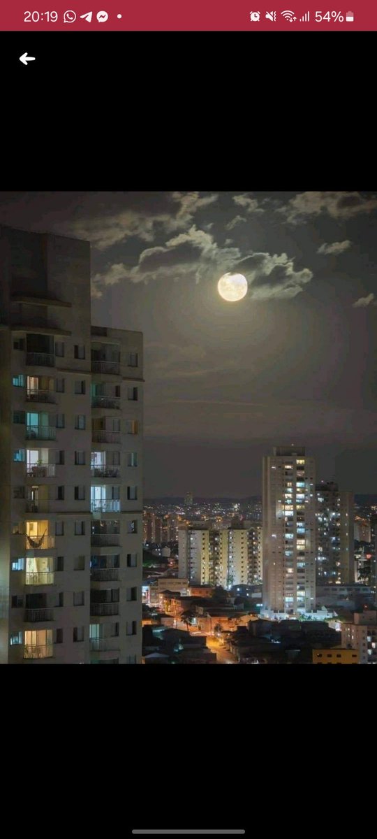 ضوء القمر هو تذكير لطيف أن حتى في الظلام،  ستجد جمالاً.  
هو تذكير لتَرقُب النور دائماً، حتى في أحلك الأوقات.