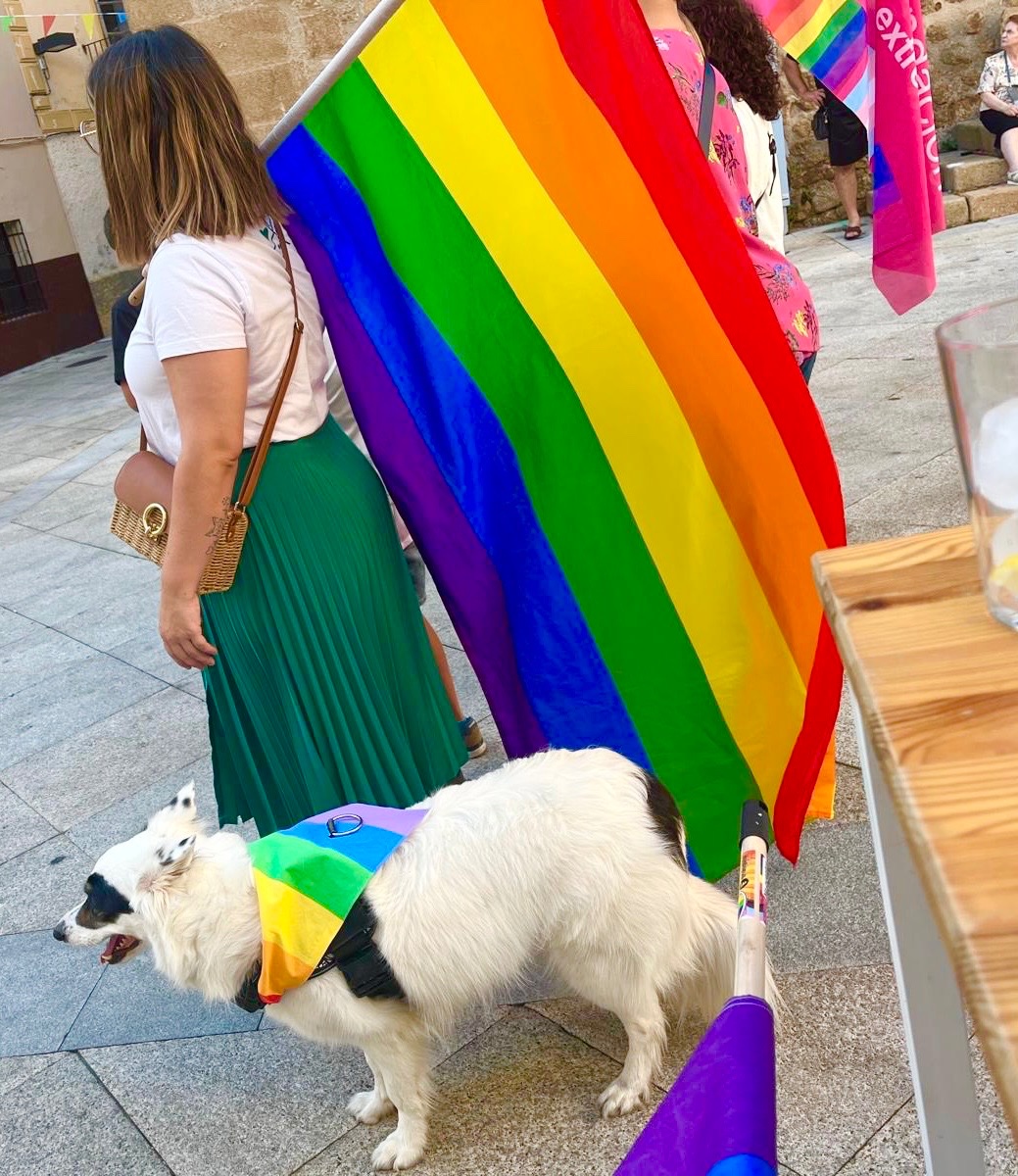 ISA BLANCO tweet media