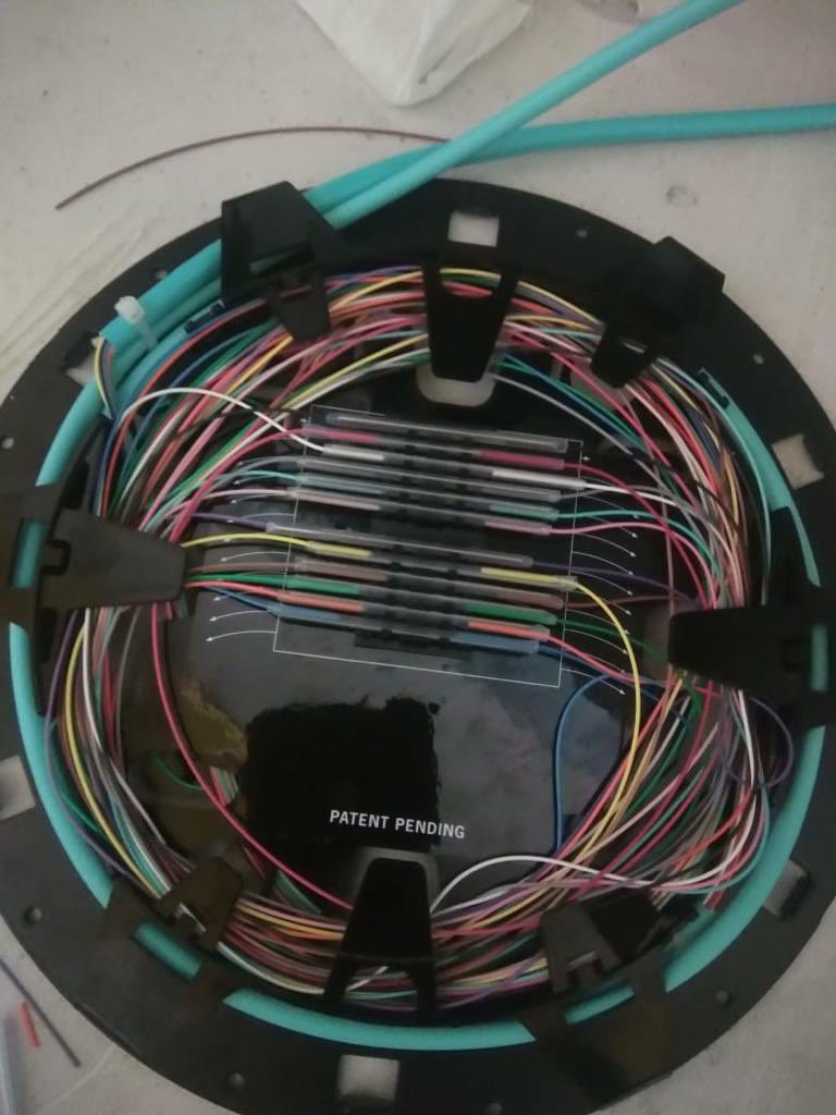 Ro Velazquez🥑 tweet media