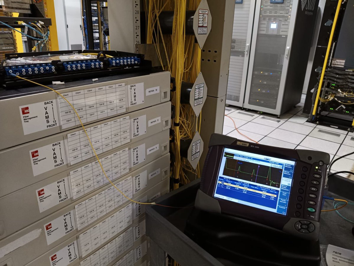 Ro Velazquez🥑 tweet media