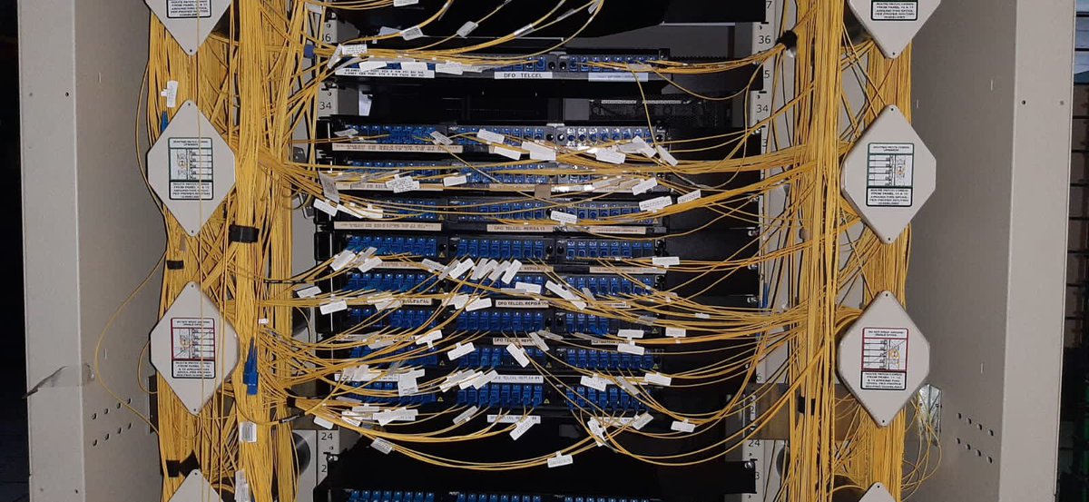 Ro Velazquez🥑 tweet media