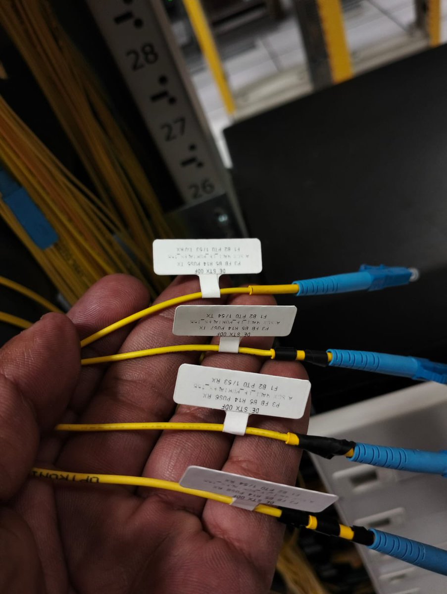 Ro Velazquez🥑 tweet media