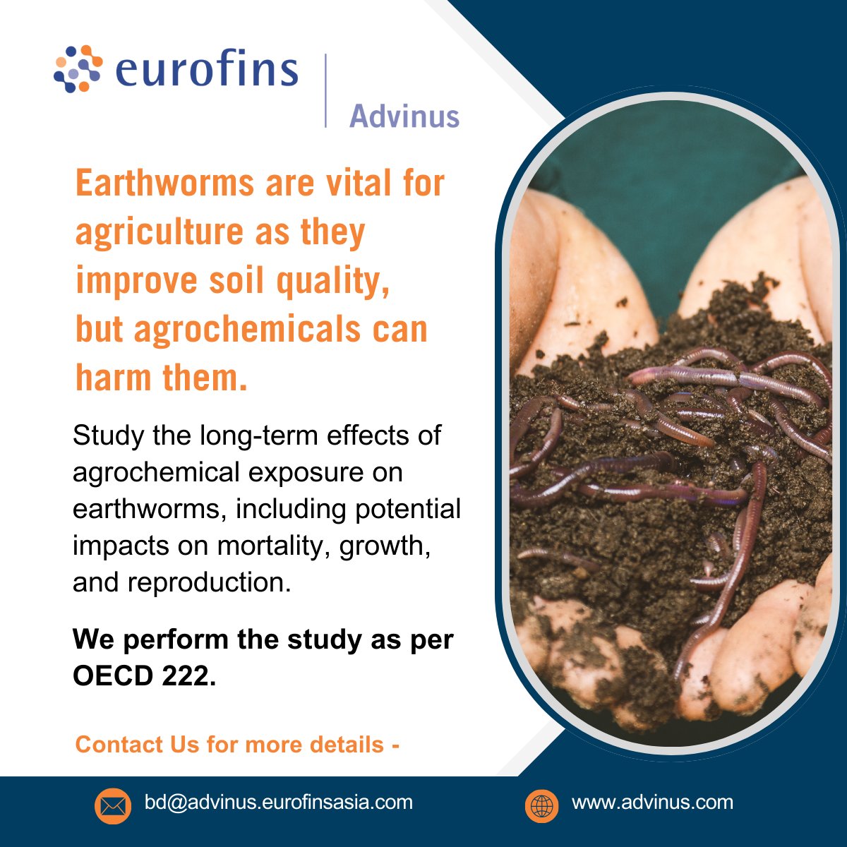 advinus's tweet photo. Being committed to advancing #environmental safety assessment, we offer the #OECD 222 study, part of our comprehensive offerings. This study provides essential data to assess the ecological risks associated with #agrochemical products.
Connect with us for more details. https://t.co/1uuM8ImcdH