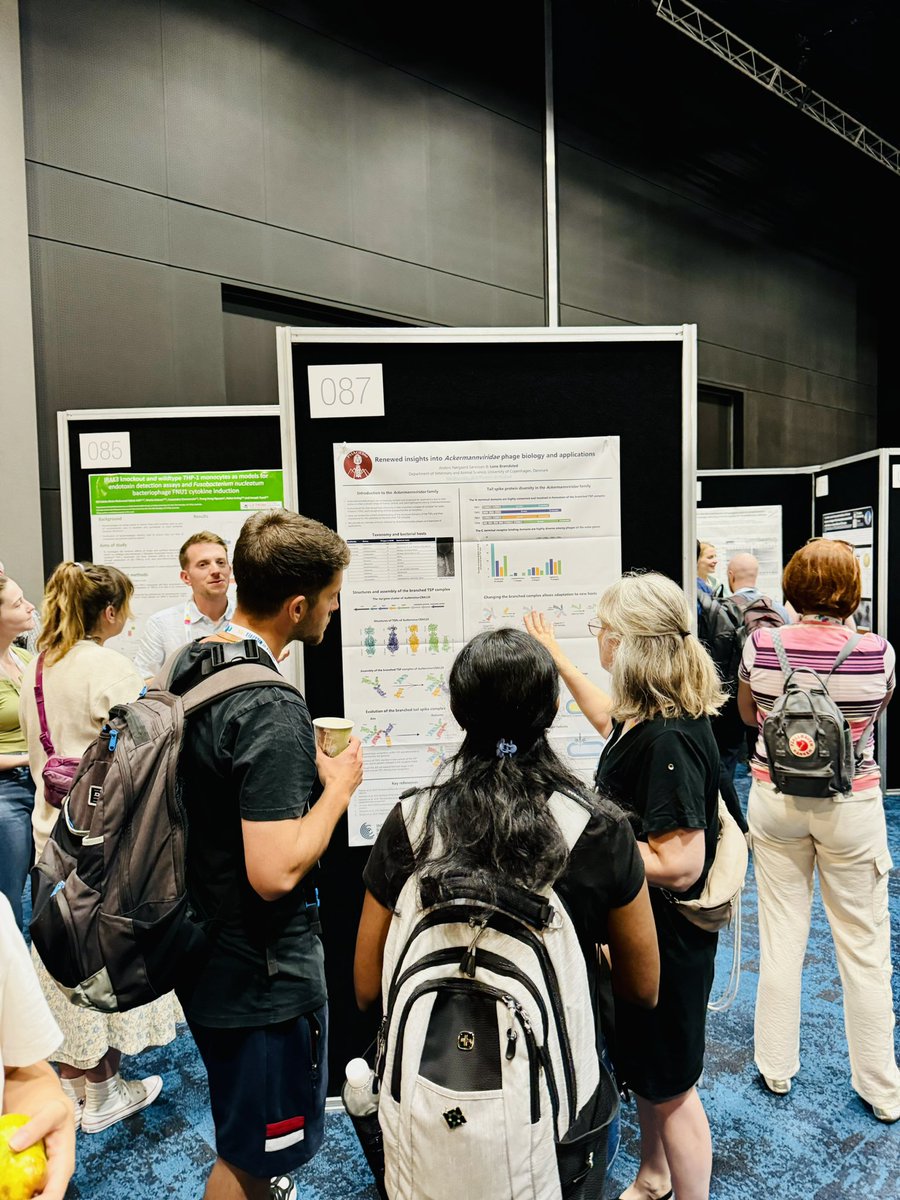 PHAGEBio (@phagebioucph) on Twitter photo Thanks to everyone who checked out our posters at <a href="/VoM_2024/">Viruses of Microbes 2024</a> #VoM2024! It was awesome sharing our science with you 🔬 We’ve got two more posters in the upcoming days, so stay tuned! Thanks to everyone who checked out our posters at <a href="/VoM_2024/">Viruses of Microbes 2024</a> #VoM2024! It was awesome sharing our science with you 🔬 We’ve got two more posters in the upcoming days, so stay tuned!