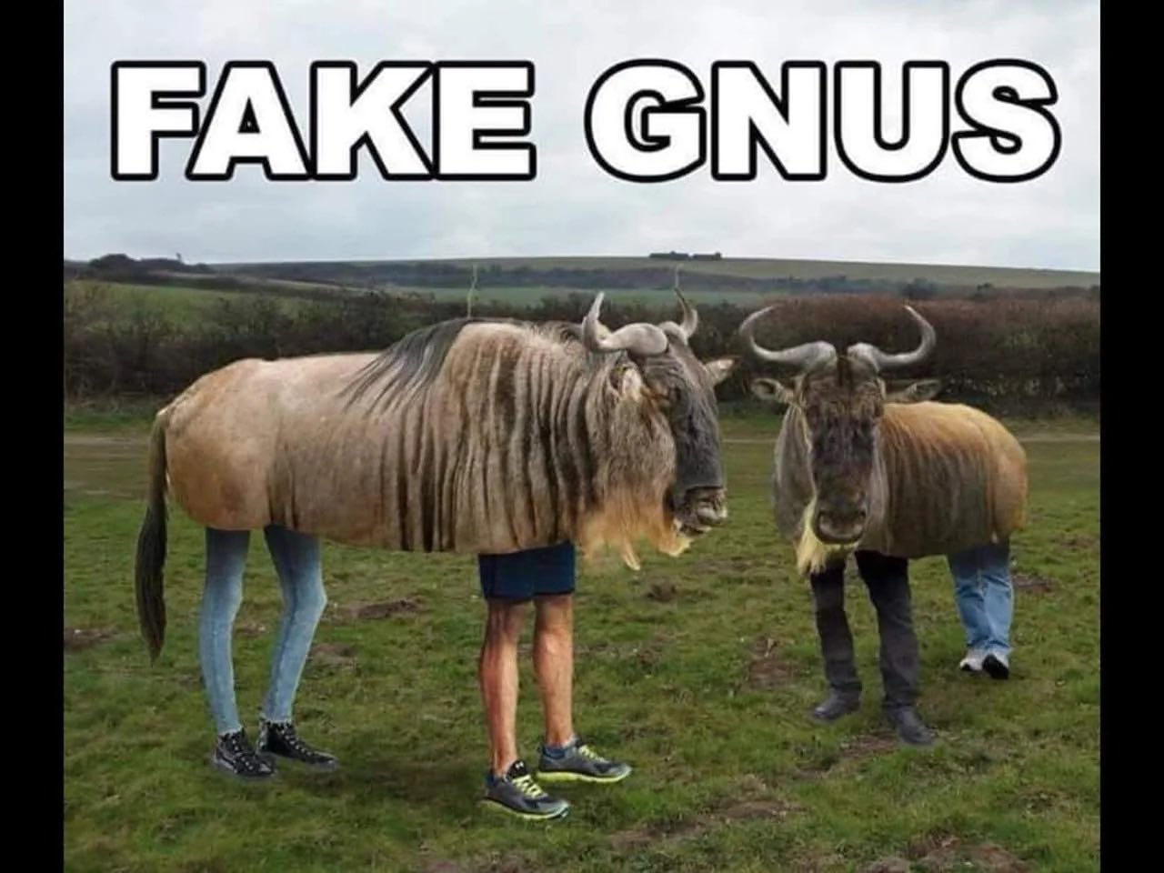 GSlqMDwacAApdNc