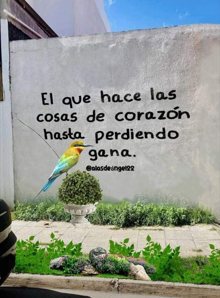VidaEquilibrad4's tweet photo. https://t.co/T1qya2gffu