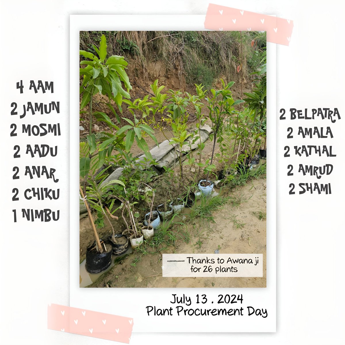 vanavistar's tweet photo. A heartfelt thank you to Awana Ji for generously providing us with 26 beautiful plants today! Your support brings us closer to our goal of planting 100,000 trees and creating a greener
#Vanavistar #TreePlanting #Gratitude #PlantDonation #EcoFriendly #100kTrees #addonemore https://t.co/aNkwSS2Xhp