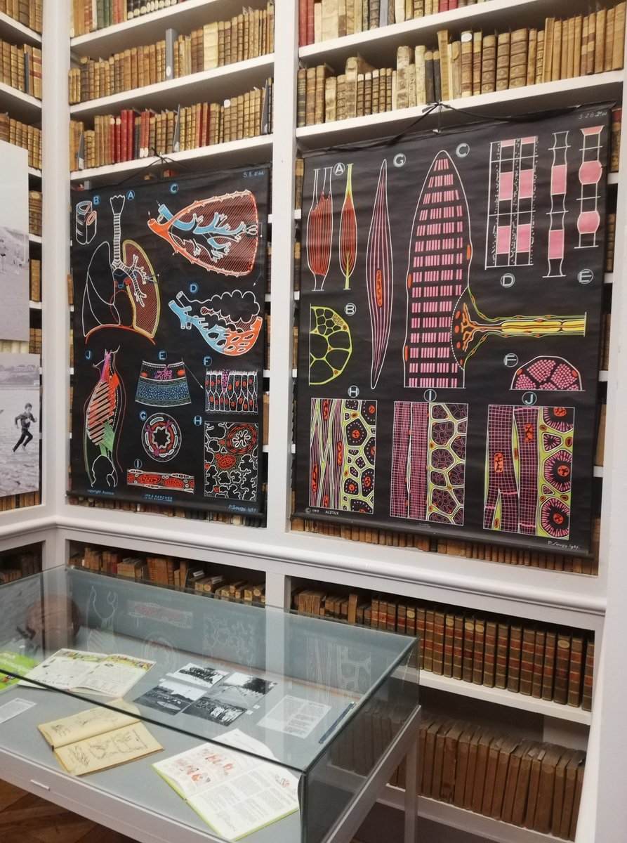 INSPÉ de l'Université de Franche-Comté tweet media