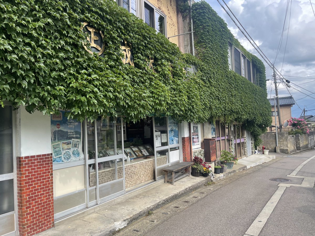 F1Yu8's tweet photo. 蔦に覆われた素敵な外観のお店から急に猫ちゃんでてきたけど遊べなかった https://t.co/YEDud2TlU2
