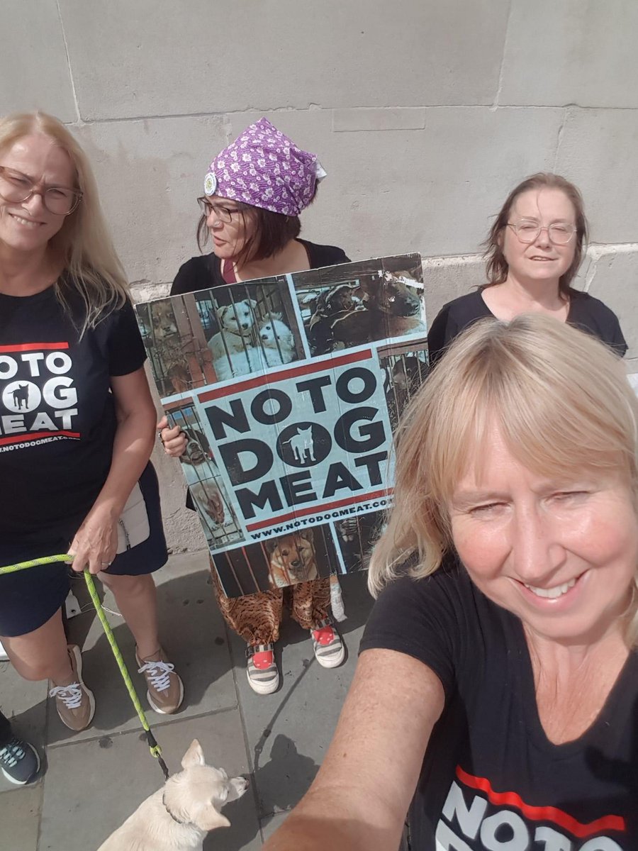 notodogmeat's tweet photo. #NoToDogMeat #London Thank you everyone who came to Trafalgar Square on Sunday. Can you believe this is the first outdoor event anyone has done against the dog and cat meat trade in the UK this year. #JoinUs #NoActionTooSmall
https://t.co/n8afJ7BP9E https://t.co/mJBnSJncY6