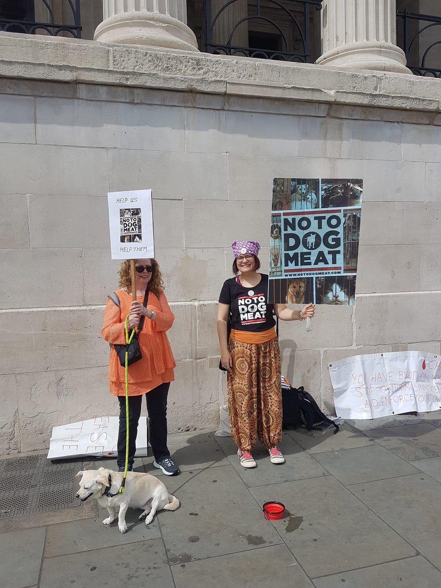 notodogmeat's tweet photo. #NoToDogMeat #London Thank you everyone who came to Trafalgar Square on Sunday. Can you believe this is the first outdoor event anyone has done against the dog and cat meat trade in the UK this year. #JoinUs #NoActionTooSmall
https://t.co/n8afJ7BP9E https://t.co/mJBnSJncY6