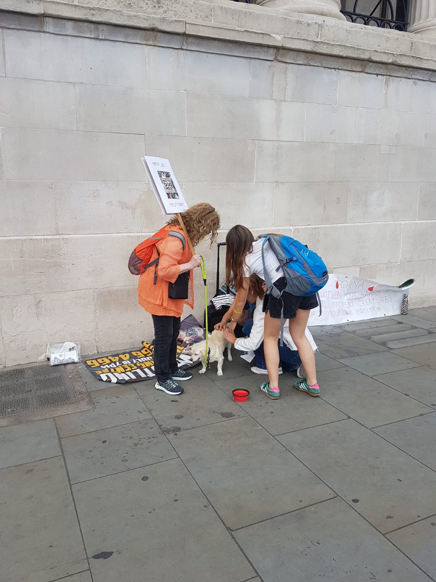 notodogmeat's tweet photo. #NoToDogMeat #London Thank you everyone who came to Trafalgar Square on Sunday. Can you believe this is the first outdoor event anyone has done against the dog and cat meat trade in the UK this year. #JoinUs #NoActionTooSmall
https://t.co/n8afJ7BP9E https://t.co/mJBnSJncY6