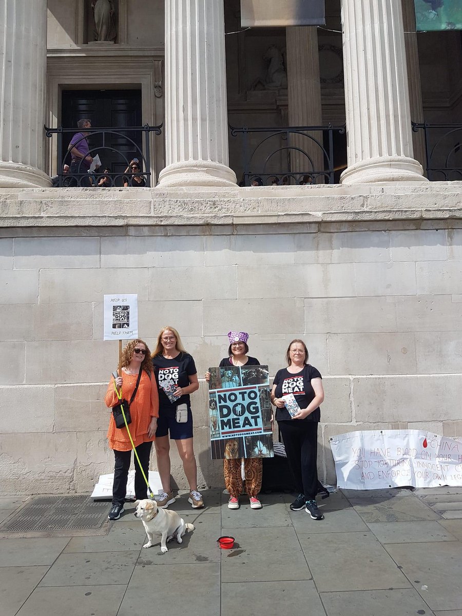 notodogmeat's tweet photo. #NoToDogMeat #London Thank you everyone who came to Trafalgar Square on Sunday. Can you believe this is the first outdoor event anyone has done against the dog and cat meat trade in the UK this year. #JoinUs #NoActionTooSmall
https://t.co/n8afJ7BP9E https://t.co/mJBnSJncY6