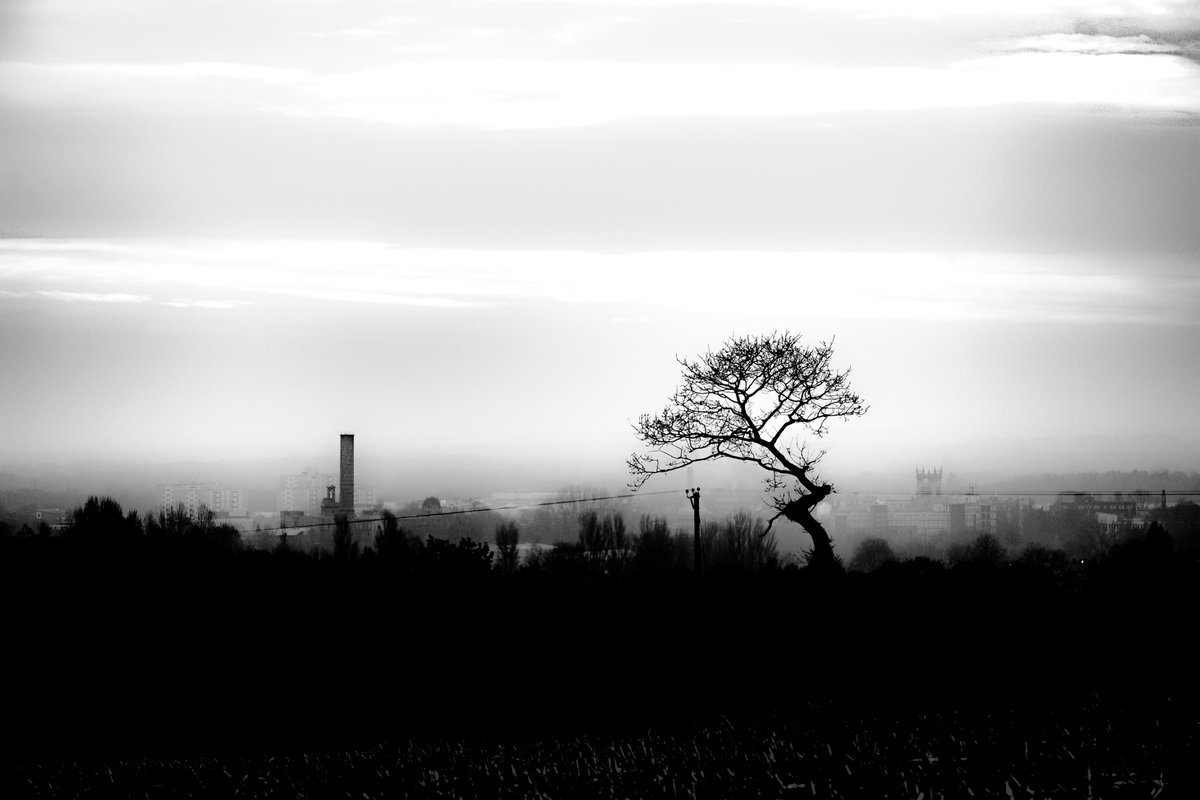 Marriedwithgrownups tweet media