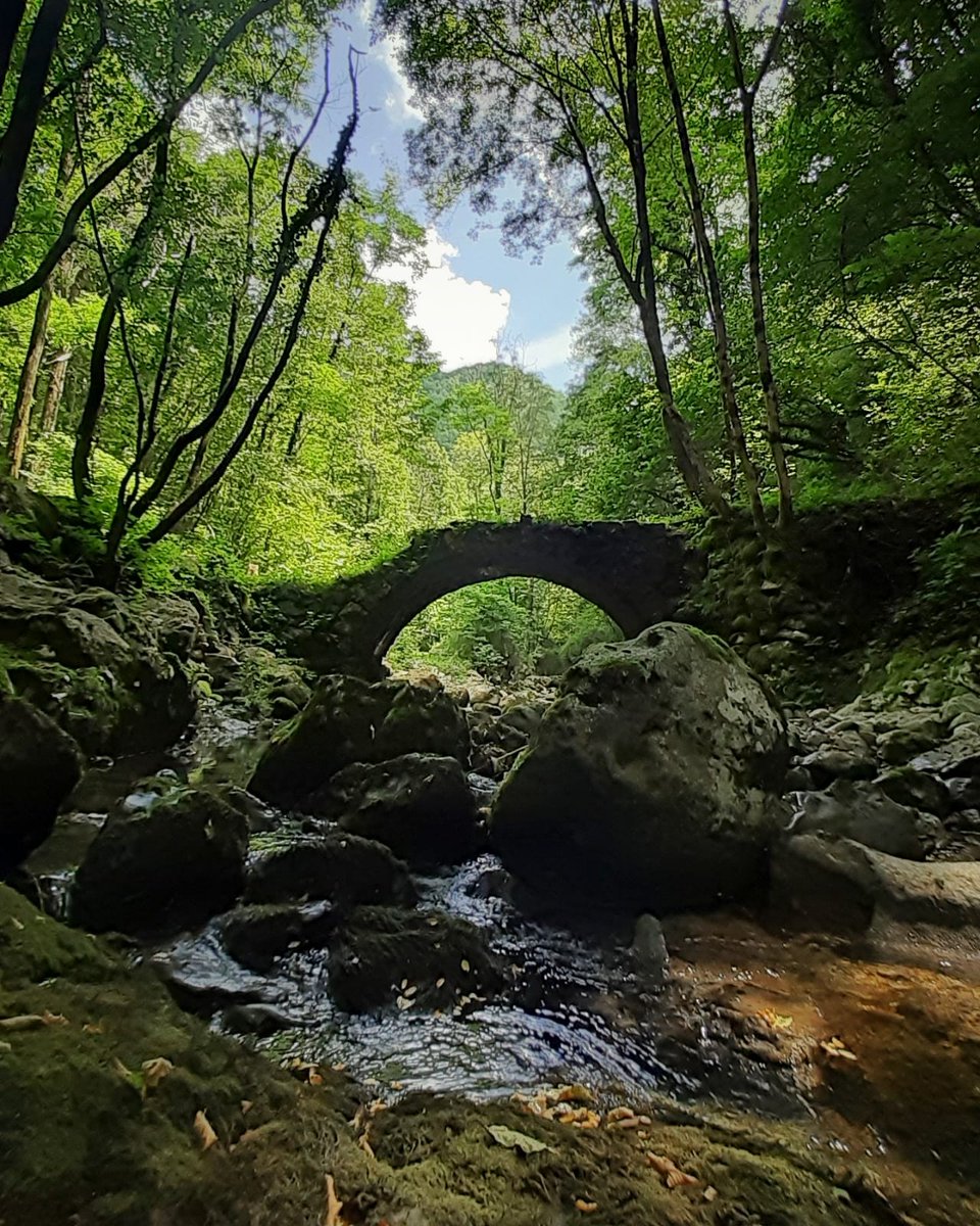 regioneFVGit's tweet photo. 🤓 Viene chiamato "ponte romano" ma le metodologie adottate nella costruzione riconducono a secoli ben più recenti. Si tratta del ponte di 𝐁𝐨𝐫𝐠𝐨 𝐒𝐭𝐫𝐞𝐦𝐢𝐳, un ponte che si trova all'interno di un bosco nel territorio del Comune di #Faedis.
📷©️  Elena Peressoni https://t.co/dbLz4rJvJJ