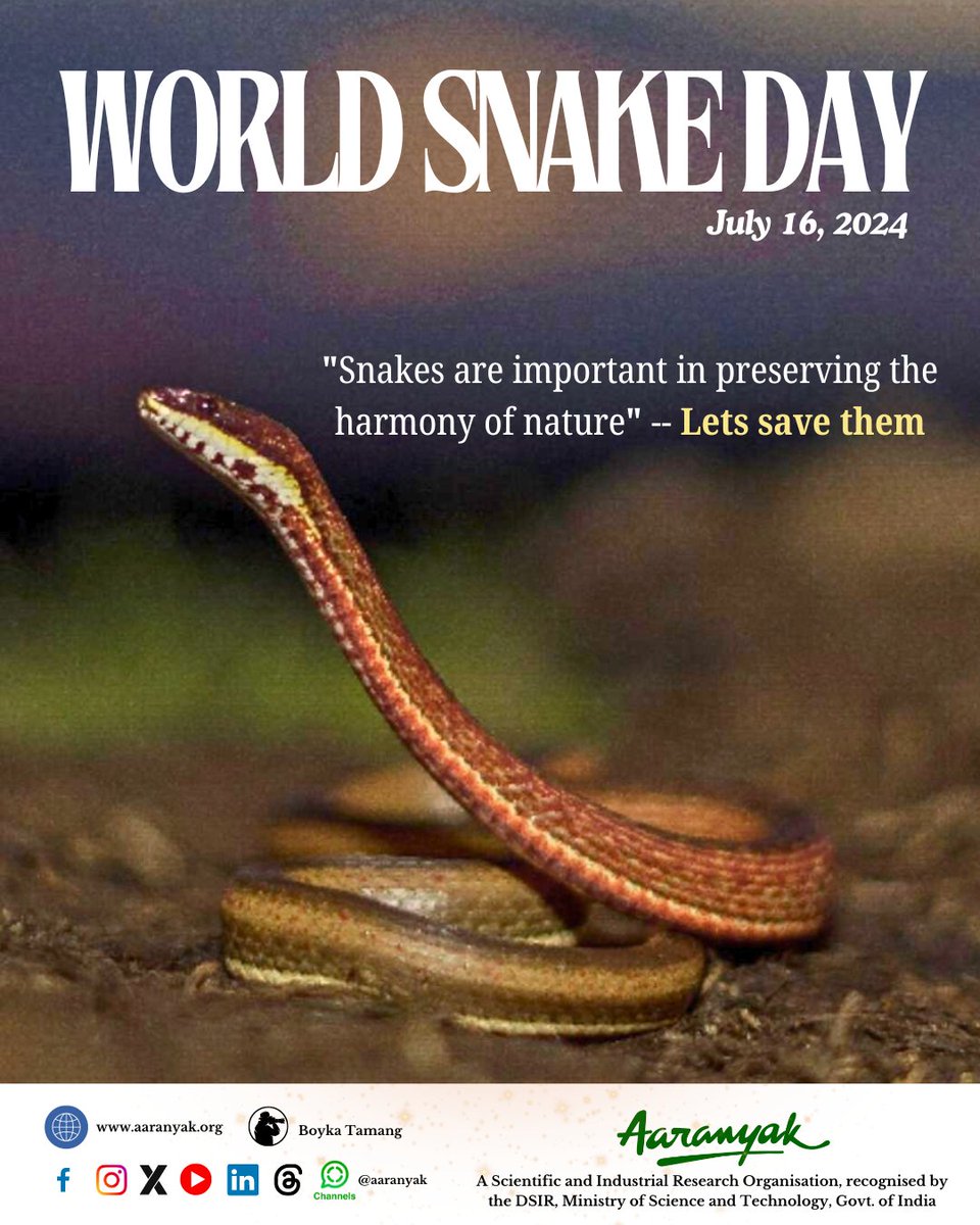 aaranyak's tweet photo. 🐍🐍Greetings on the occasion of #WorldSnakeDay.
#SnakeDay #snakes #SaveSnakes https://t.co/FYBx2LhLPb