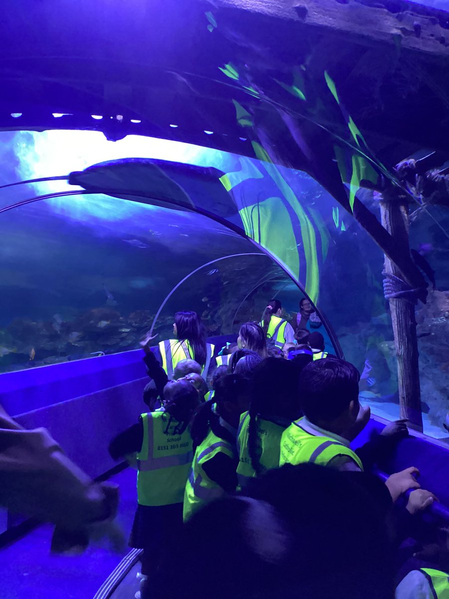 Stm_WB's tweet photo. We had a fantastic time on our trip to the aquarium. The children were brilliant ambassadors for our school. 🐟🐠🐡🦈🐬 https://t.co/wBaAWChC0H