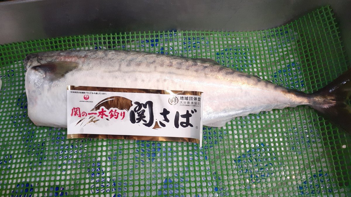 uoshige1971's tweet photo. 今日は超久しぶりに、関サバ入荷したので、久しぶりの投稿。
暇なので、購入は二本だけにしたのは失敗だったか？ https://t.co/sRudTf4pqa