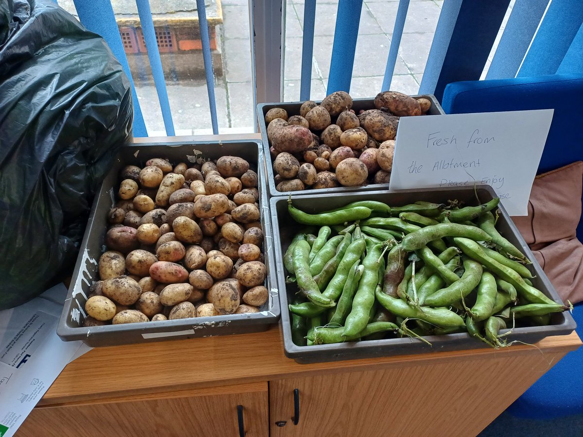 JasonCrane272's tweet photo. First lot of produce from the @TSASAllotment @tsas_norwich It's in the North Site staff room for  the staff to enjoy. #fresh https://t.co/mAUpWaxNuA