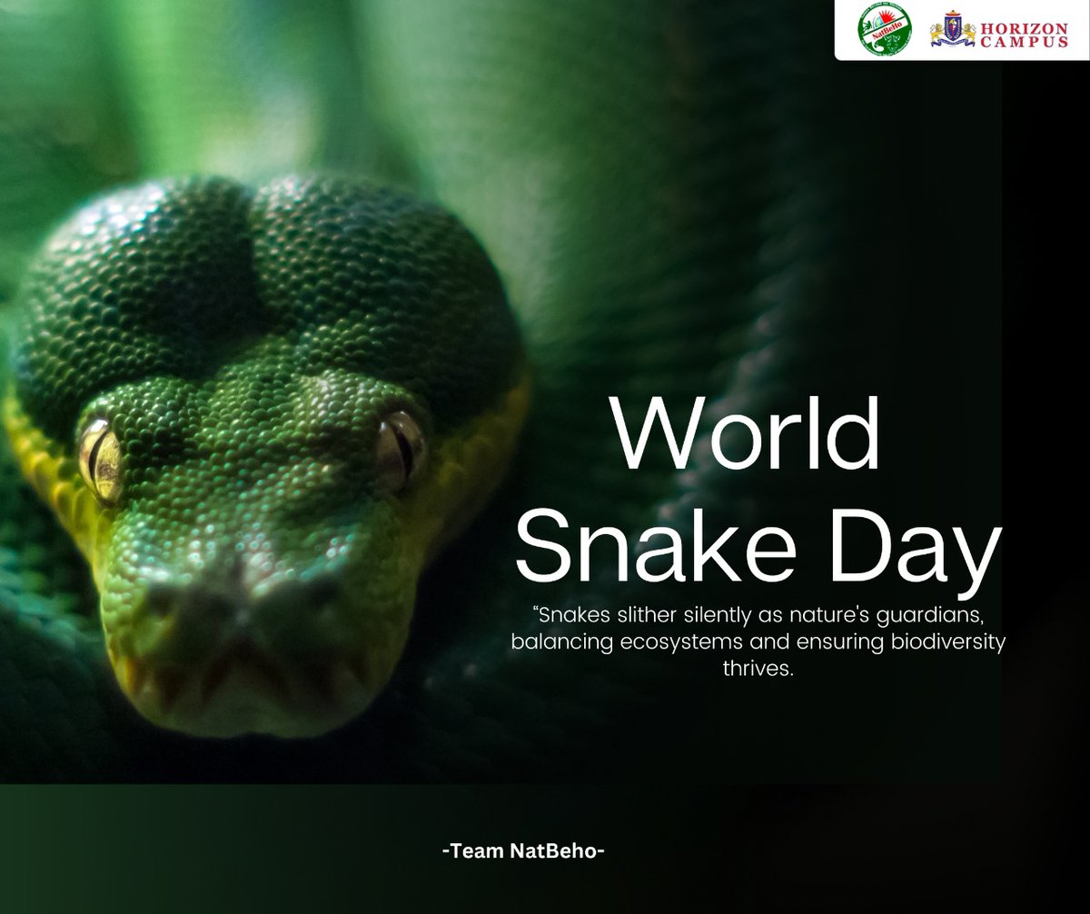 NatBeHo's tweet photo. Snakes play a critical role as guardians of balance in ecosystems globally.Let us conserve and educate others about the significance of these magnificent reptiles on this World Snake Day, while appreciating the beauty they bring to our world.

Team NatBeHo 💚 https://t.co/GgJtcvW070