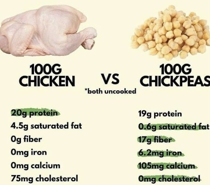 wehealthy3's tweet photo. 100 gram of chicken vs chickpeas difference of less than 1 percent and you can have full protein, vitamins and minerals from plant based protein , it’s cruelty free direct from Mother Nature . #vegan #healthy #green #food #nodrugs #nowar #cleaneating https://t.co/vGPliQ5o0K