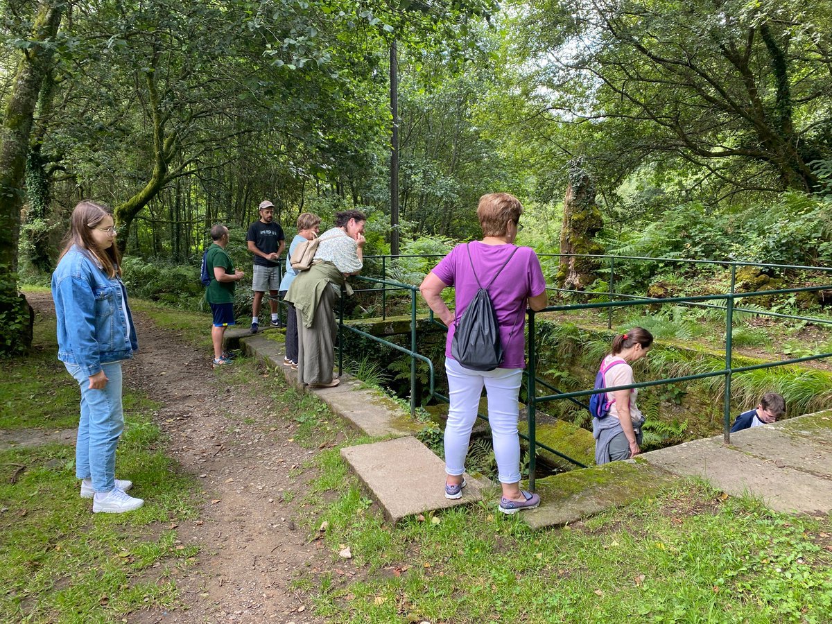 CompostelaVerde's tweet photo. Hoxe tivo lugar o roteiro Galeras-O Romaño, incluído no programa de actividades de sensibilización ambiental "Verán en Belvís" #CompostelaVerde #Compostela #SantiagoDeCompostela

INFO:
https://t.co/6SHQIGPZSu

INSCRICIÓN:
https://t.co/ixuxZLYazp https://t.co/7aTurnZtlY