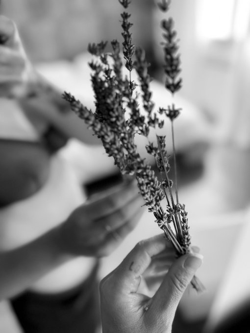 Mon soutien gorge est il de la m&ecirc;me couleur de la lavande ?   #MardiMiroir https://t.co/AP0fkrdYbN<a href="/tag/mardimiroir"class="tags"><span>#mardimiroir</span></a>