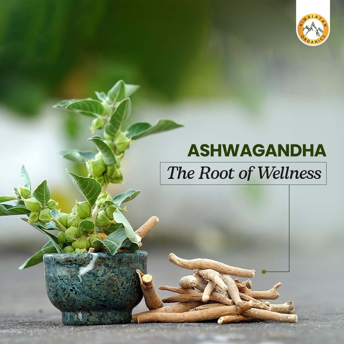 Himalayan Organics tweet media