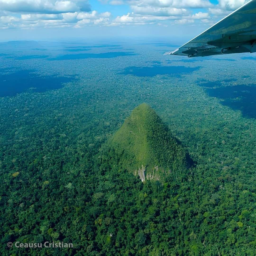 IGPETree's tweet image. Deep in the Amazon rainforest there's this mountain called Cerro El Cono. It's in an area known as "The Watershed Mountains," which is famous for its huge trees and uncontacted tribes.
Mountain is sacred and represents a portal to the spirit world.
But how long till cutdown❓🪵🪓
