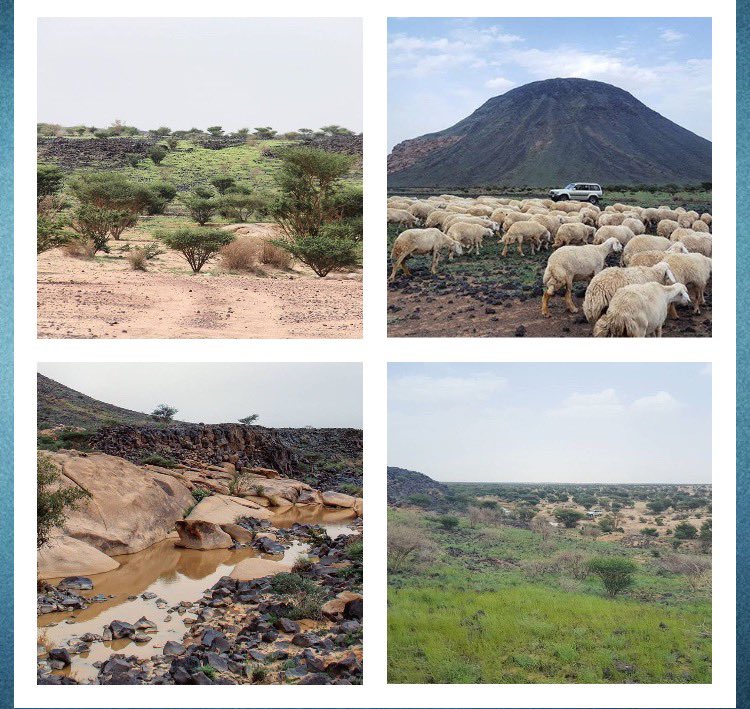 جبل سَفيرة بين الخُرمة ورنيَة في وسط حرة بني هلال ( حرة سبيع الآن) يقول لبيد بن ربيعة العامري: 
بكتْنا دارَنا لمَّا ارتَحلْنَا 
                   وحَيَّتنا سَفِيرةُ والغَيَامُ
سفيرةُ جبل والغيامُ ملزم ماء قرب الغريف يسمى (قاع الغيام )