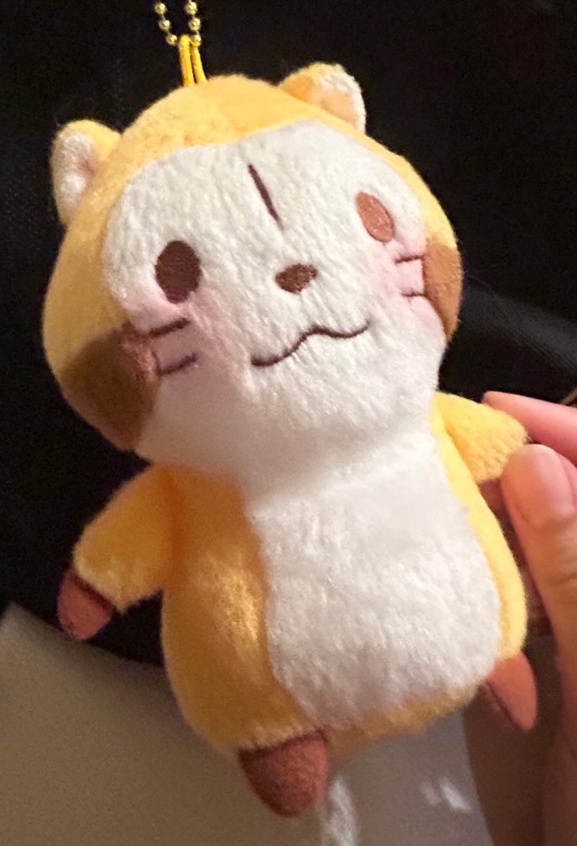 luv06h's tweet image. スクバにつけてるラスカルにチークぬったらもっと可愛くなったよー！！

 #ラスカル #ラス活動