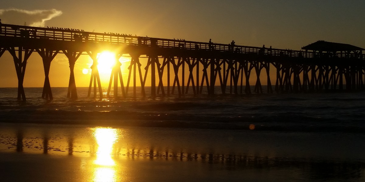SC State Parks (@sc_state_parks) on Twitter photo It's a great day at Myrtle Beach State Park! The pier at <a href="/MyrtleBeachSP/">Myrtle Beach State Park</a> is fully OPEN as of today, July 16. Pier hours are 6:30am -8:00 pm, daily! Come see us! southcarolinaparks.com/myrtle-beach It's a great day at Myrtle Beach State Park! The pier at <a href="/MyrtleBeachSP/">Myrtle Beach State Park</a> is fully OPEN as of today, July 16. Pier hours are 6:30am -8:00 pm, daily! Come see us! southcarolinaparks.com/myrtle-beach