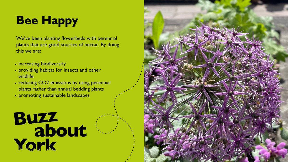 City of York Council tweet media