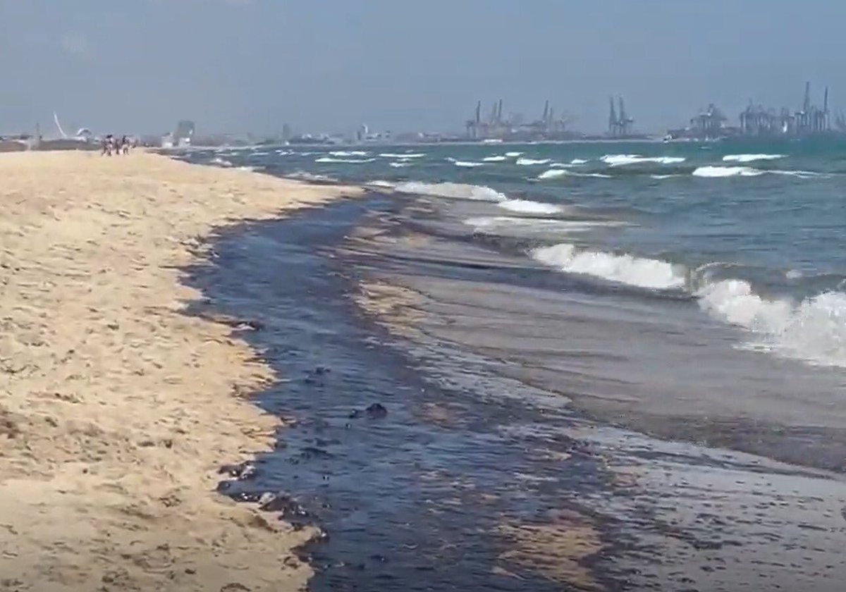 NoAmpliacioPort's tweet photo. ‼️🚨🚨Vessament de combustible al Parc Natural de El Saler, sobre la zona de la Xarxa Natura2000

Aquestes són les conseqüències del PORT de VALÈNCIA
Exigim el desestiment de l’ampliació del port!! 

#NoAmpliacióPort #EnderroquemDicNord https://t.co/OEeu7axxcl