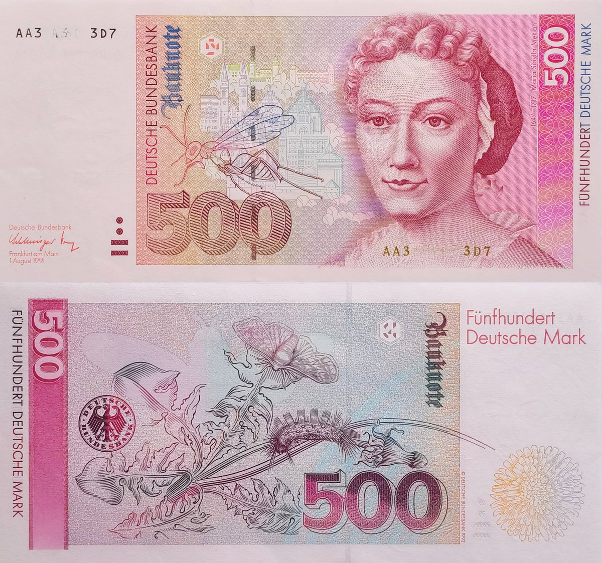 德国末版纸币500 马克，1992年10月27日发行，正面为昆虫专家、画家玛丽亚·西比拉·梅里安以及其笔下的黄蜂，背景为纽伦堡历史街区，背面为梅里安去世后出版的画集《毛虫的起源、食物和神奇的变态过程》关于蒲公英、黑毒蛾和毛虫的昆虫画，拍入1991 版AA冠号的PMG67分评级币。