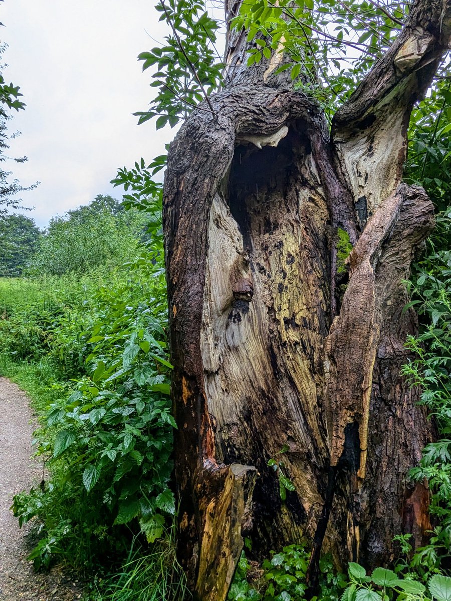 Schönen Nachmittag!