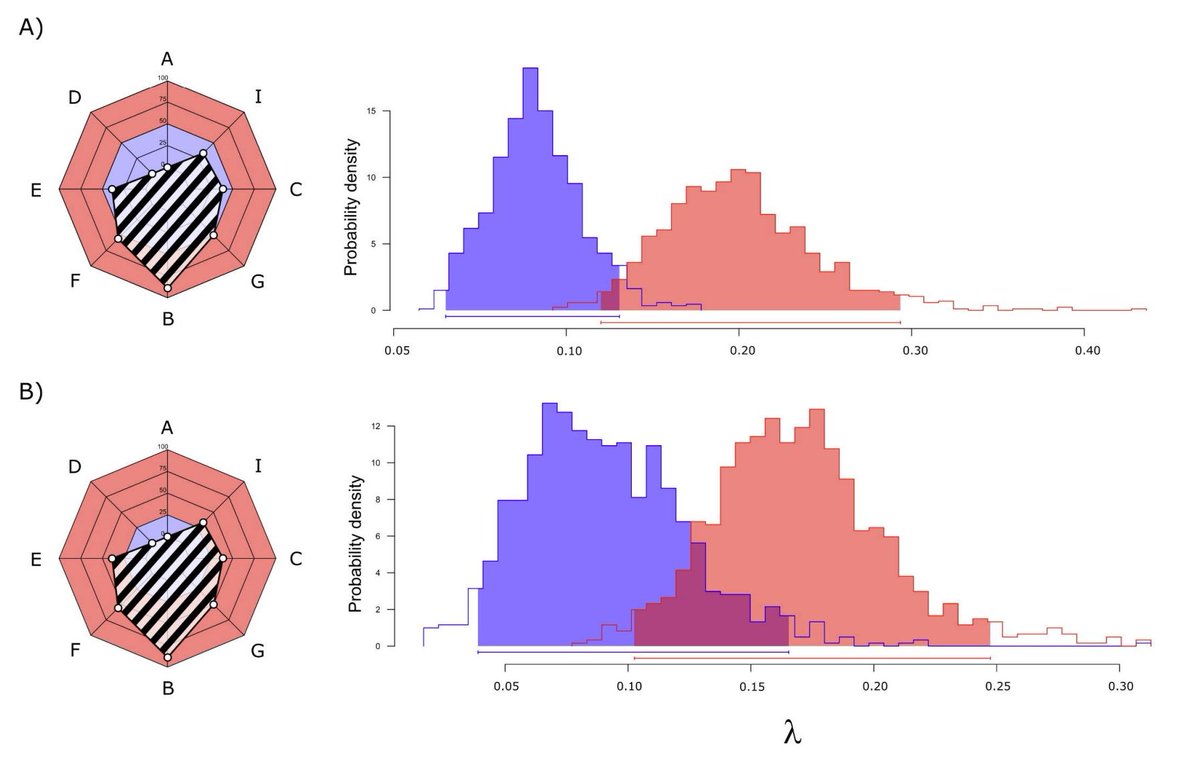 Adrià Bellvert tweet media
