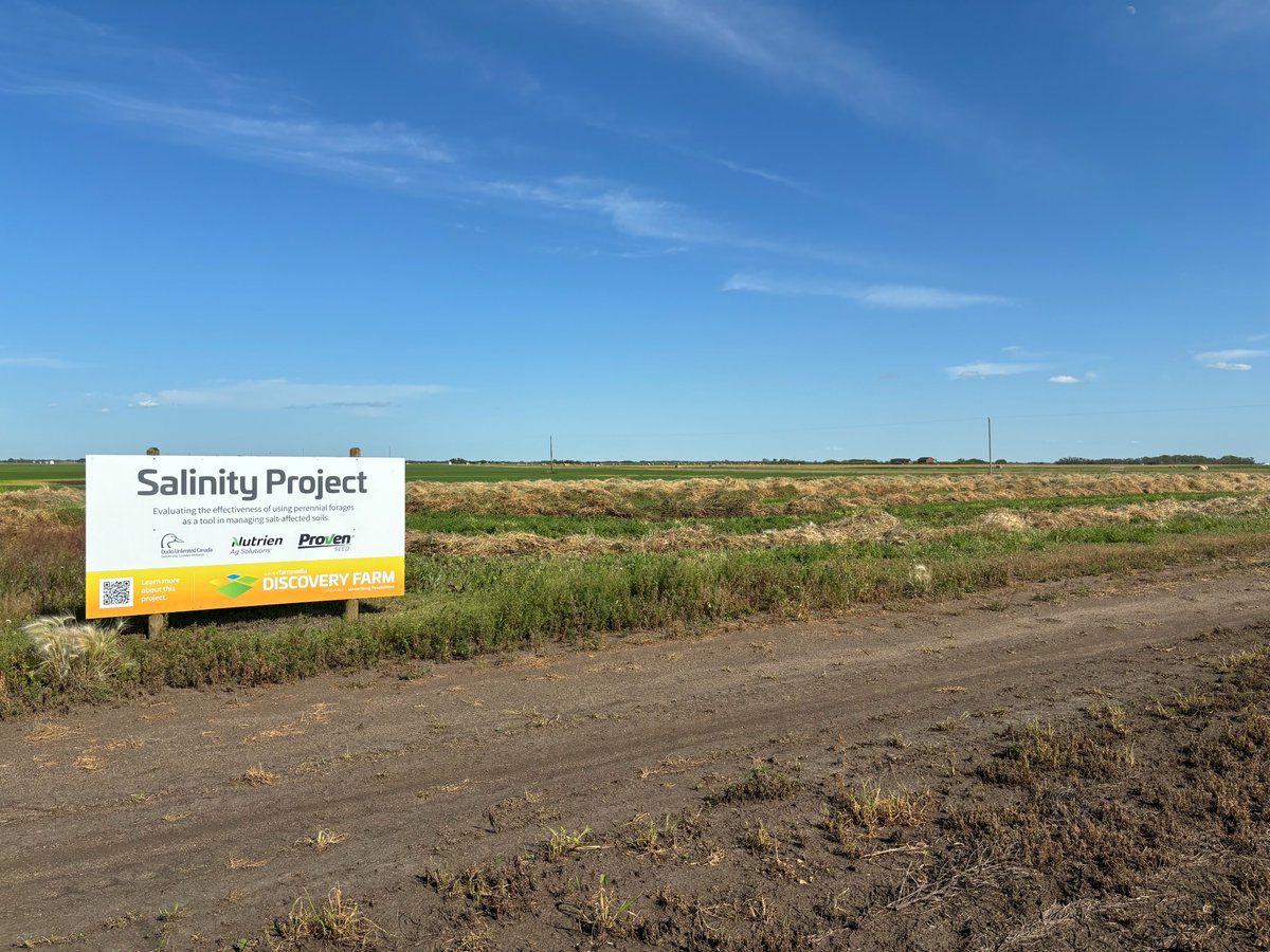 Discovery Farm tweet media