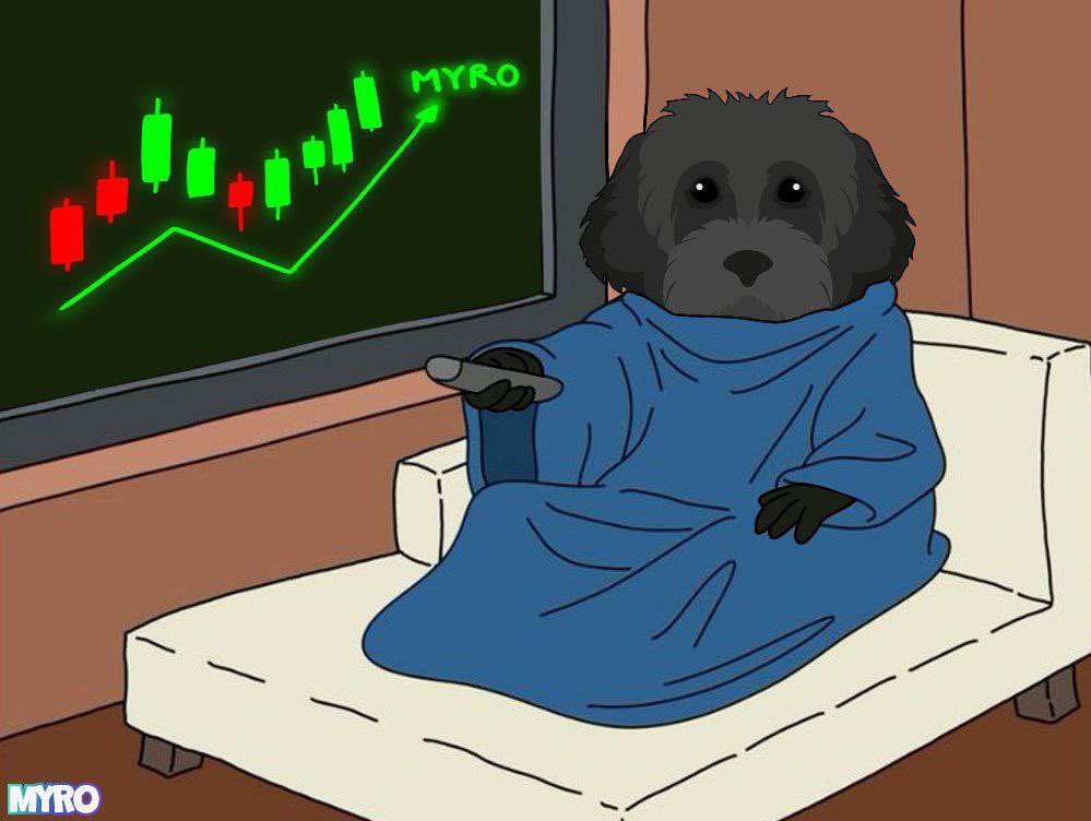 MyroSOL's tweet photo. Me watching my portfolio today 📈🐕‍🦺 https://t.co/da0bReQyNF