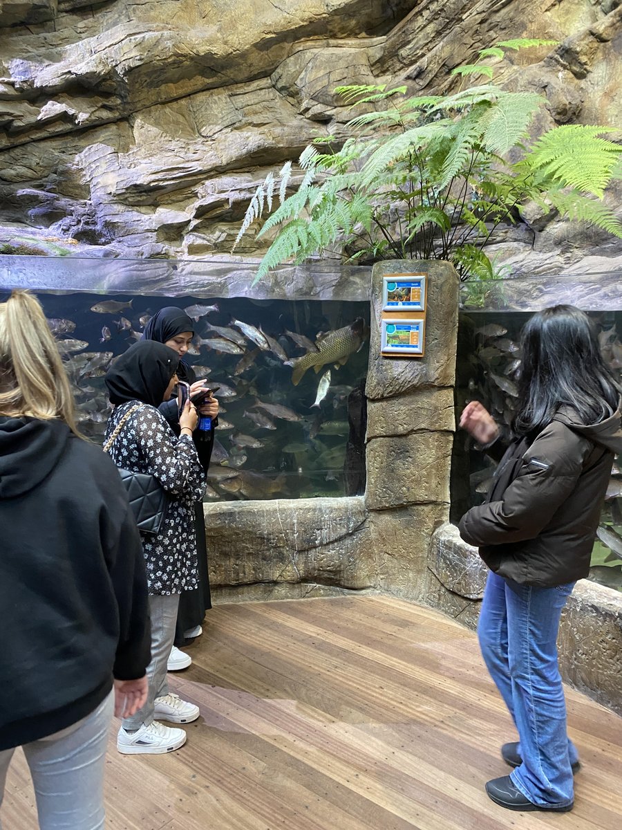 LadybridgeHigh's tweet photo. Under the Sea @BluePlanetUK 🐟🐠 #WISDOMDays #LadybridgeLearners #aquarium #blueplanet https://t.co/2YD0ienmGu