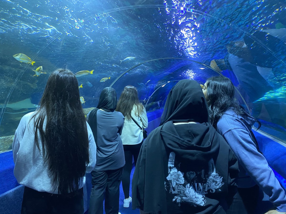 LadybridgeHigh's tweet photo. Under the Sea @BluePlanetUK 🐟🐠 #WISDOMDays #LadybridgeLearners #aquarium #blueplanet https://t.co/2YD0ienmGu