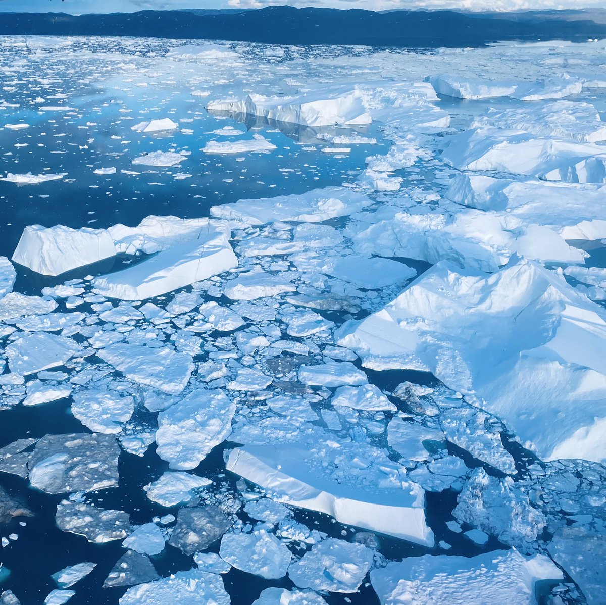 Lorna Linch tweet media