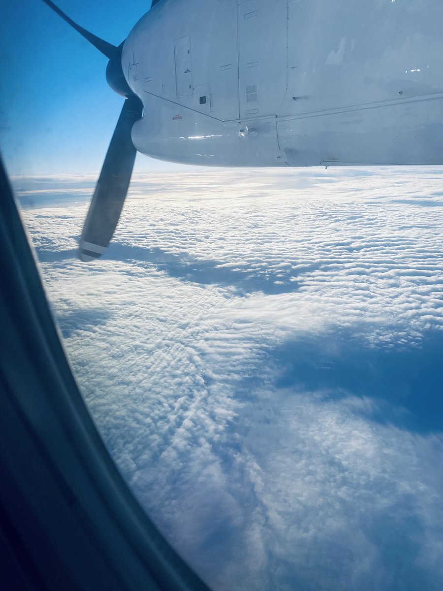 Lorna Linch tweet media