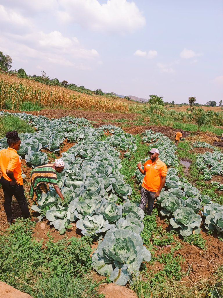 BiogasExpertUg's tweet image. #Biodigesters transforming lives
Women experiencing the convenient #Clean_cooking environment and benefiting from the #Rich_Organic_Fertilizer called #Bioslurry.
All you need is animal waste or any organic wastes to generate biogas and bio slurry. 

Shots taken from #Kyangwali on