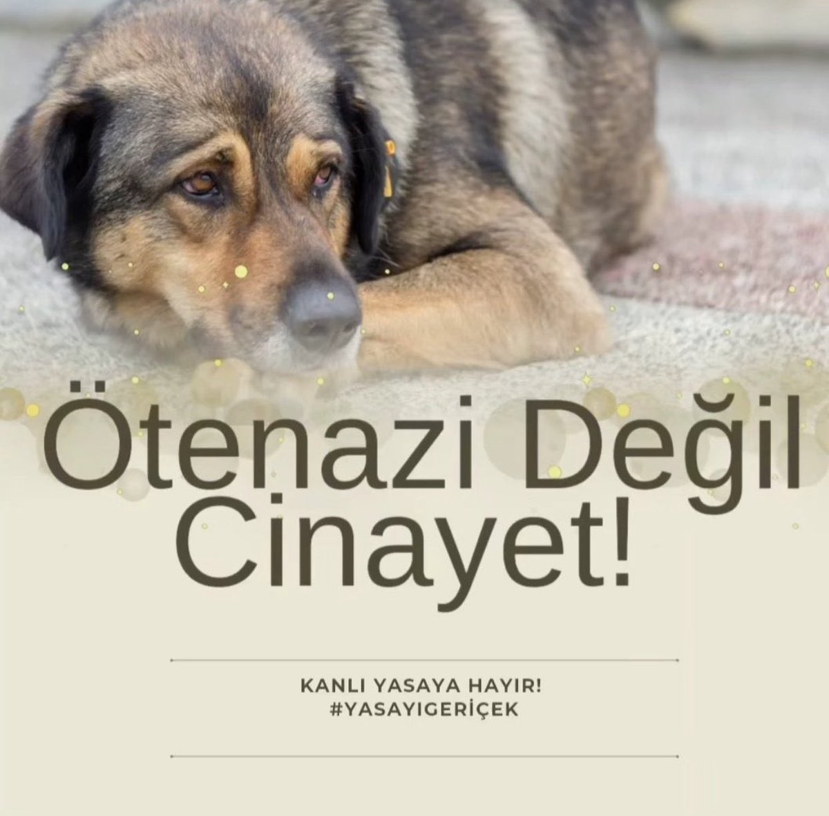 minis1973's tweet photo. #YasaGeçirelemez https://t.co/NPtXHI160k
