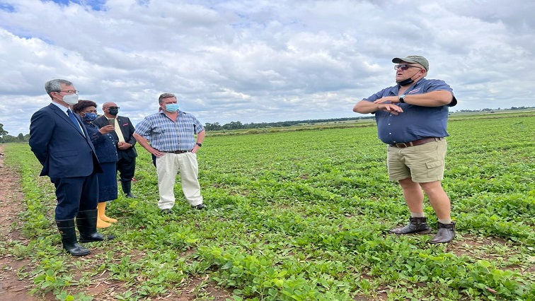 Tsogang3's tweet image. Every time I say there's money in farming, I get attacked by Land Owners and their Servants. I wonder why? 🤔

1) Potatoes: R3.5 billion per annum.
2) Maize: R28 billion per annum.
3) Sunflower: R3.6 billion per annum.
4) Poultry: R62.3 billion per annum.

🗞️ Source? NAMC