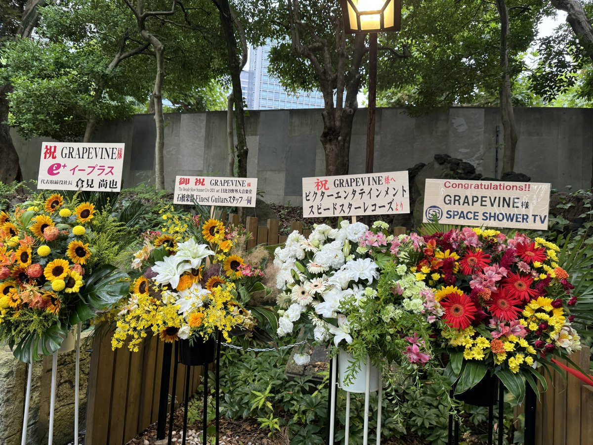 fuji_dai1101's tweet photo. GRAPEVINE
The Decade Show@日比谷野外音楽堂
ビクター移籍後10年縛りのセトリであんなに最高なんだからやはり最高である(語彙力)
めちゃくちゃチカラ貰ったのでその後のレコーディング2daysに活かされた気がしました💿

#GRAPEVINE
#Thedecadeshow
#marsbergsubwaysystem
#ポラロイズ
#toybee https://t.co/KLXUepVB5X