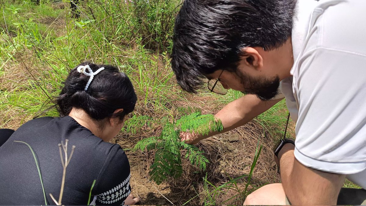 SocchNgo's tweet photo. 🌿✨ Celebrating Uttarakhand's "Harela" festival, SOCCH Trust organized a plantation drive at Ulka Devi Temple, Almora. 🌾🏞️ Together, we planted native trees, fostering a greener future for all. Let's continue to honor traditions and protect our environment! 🌳💚 #HarelaFestival https://t.co/9U9NV2c1Ox
